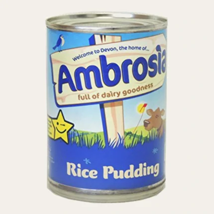 ambrosia-rice-pudding-1200x1200-clean